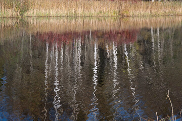colorful autumn landscape with calm water surface, colorful reflections