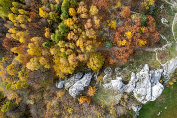 Jura Krakowsko-Częstochowska, Polska © Tomasz Warszewski