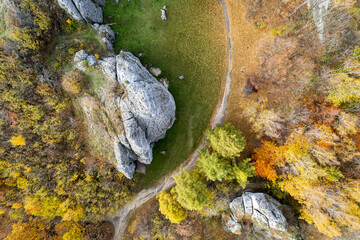 Jura Krakowsko-Częstochowska, Polska © Tomasz Warszewski