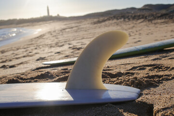 Surfboard fin on sandy beach during sunset