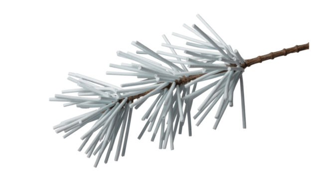 A close-up shot of a single pine branch heavily covered in white frost, creating a beautiful winter and holiday seasonal visual. background removed