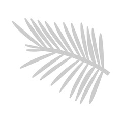 Illustration of a Palm Leave Shadow
