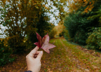 girl with red leaves
