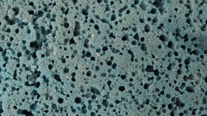 Close-Up Sponge Texture with Visible Pores.