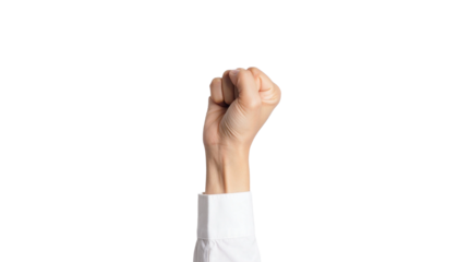 A fist raised high in a gesture of strength, solidarity, and defiance. The hand, with a clenched fist, suggests determination. The raised arm showcases a spirit of resistance. 