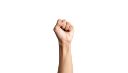 An arm raised with a clenched fist, symbolizing strength and solidarity