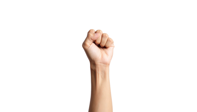 An arm raised with a clenched fist, symbolizing strength and solidarity