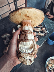 Funny portrait of a laughing porcini mushroom with a carved face, held in human hand. Creative and humorous concept combining nature and art. Perfect for blogs, cooking content, forest themes