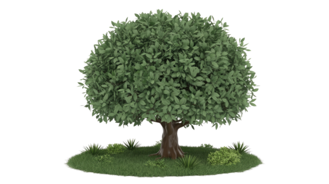 A stylized tree with a dense green canopy and brown trunk, rooted in a circular grassy patch with small shrubs. background removed