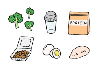 タンパク質を含む食品とプロテインの手描きイラスト