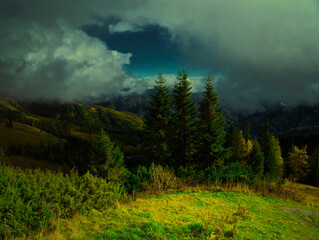 Beautiful Autumn day on a Hohe Veitsch mountain in Alps