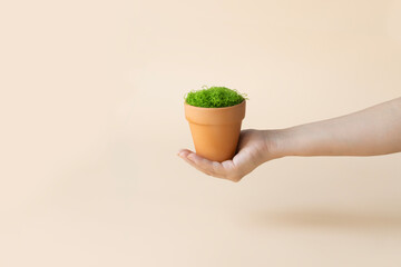 Hand holding a flower pot with just moss growing. Crea