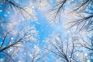 Abstract winter sky with bare branches and soft glowing bokeh lights creating a magical festive atmosphere perfect for holiday designs