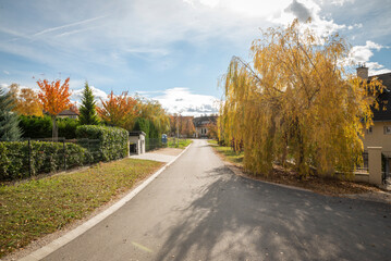 Fototapeta premium Road in a residential district