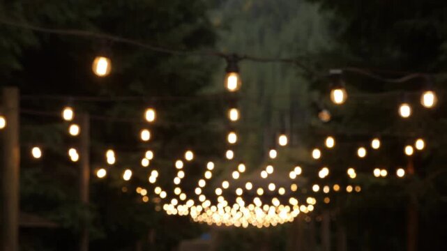 Handheld shot of glowing string lights in forest evening