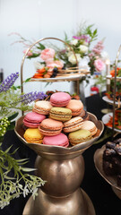 Colorful assorted macarons elegantly presented for event reception and hotel buffet dessert