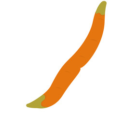 Illustration of a Organic Waste Carrot