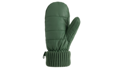 A single, dark green, quilted leather mitten with a ribbed knit cuff, designed for warmth and comfort in cold weather. background removed