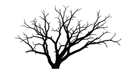Silhouette of a bare deciduous tree with intricate branches against a stark white background
