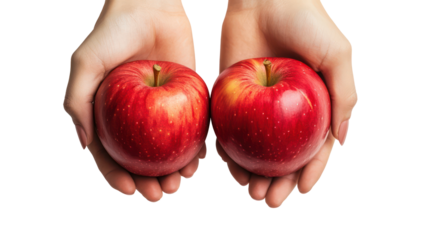 Two red apples held in open hands isolated on transparent background