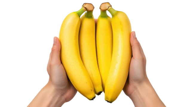 Hands holding a bunch of ripe yellow bananas isolated on transparent background