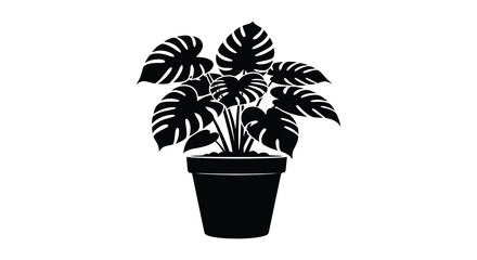 Monstera deliciosa plant in a black pot a silhouette illustration of a popular houseplant with large fenestrated leaves