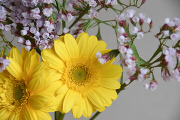 ガーベラとスターチス