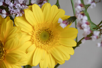 ガーベラとスターチス