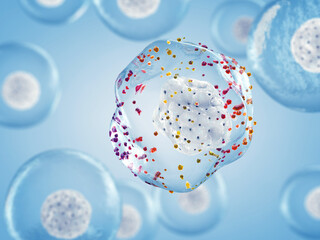 Free radicals cause oxidative stress by stealing electrons from healthy cells, damaging DNA/proteins and causing disease (like cancer). Antioxidants neutralize the radicals na protect the cells