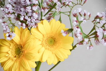 ガーベラとスターチス