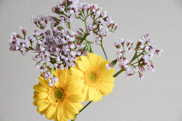 ガーベラとスターチス