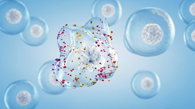 Free radicals attack cells causing oxidative stress and damaging cellular components like DNA, proteins, and lipids. Antioxidants neutralize free radicals and stop cellular damage