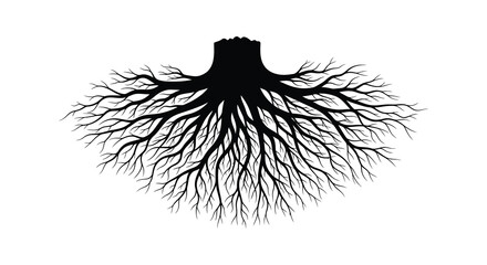 Intricate black silhouette of a tree root system spreading outward on a white background