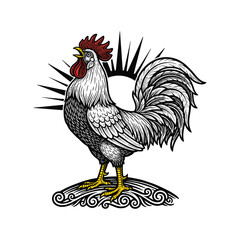Chicken, Hen, Rooster vector illustration, isolated black and white art