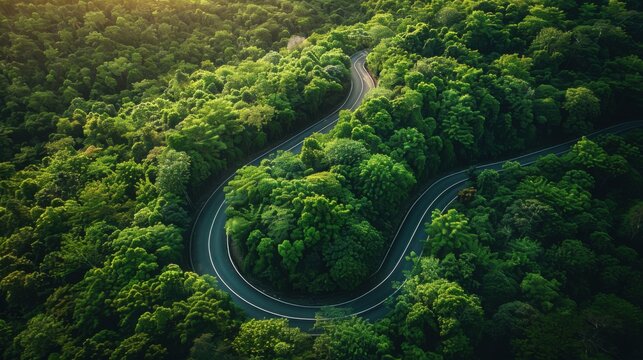 Aerial view of a winding road through dense green forest at golden hour light - Powered by Adobe