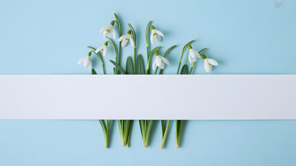 Minimalist floral composition on light blue background featuring white horizontal banner in center modern design and elegance concept