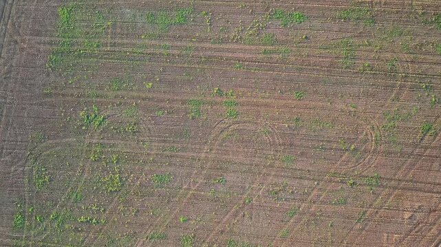 Drone footage showing cropmarks and precision tilling patterns in a cultivated field near Hemingfield, South Yorkshire, with signs of winter wheat or oilseed rape growth.