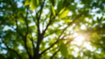 An abstract nature scene with blurred trees and soft sunlight creating a dreamy effect.