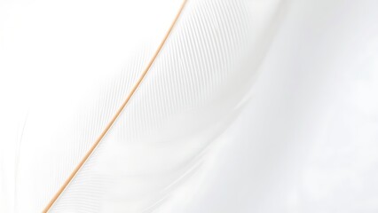 Close-up of a delicate white feather showcasing intricate texture against a pristine white backdrop.