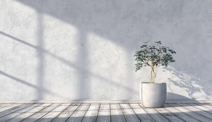 A potted plant casts shadows on a textured wall with a wooden floor.