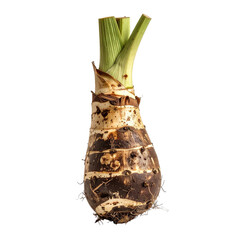 Isolated bulbous root vegetable with green stalks, brown skin, and dark shadows, clipart, isolated on a transparent background.