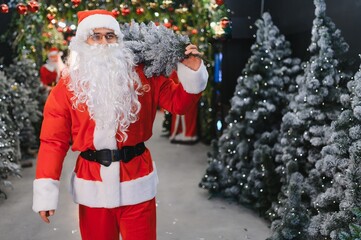 Santa claus carrying christmas tree for holiday shopping