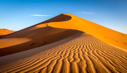 Golden sand dune landscape under a clear blue sky, the light creating shadows and texture on the undulating surface
