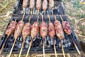 Cooking lula kebab on the grill at a picnic. Relaxation.