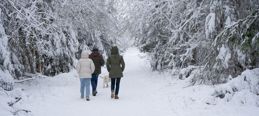 Snow landscape winter vacation holiday background - Group of family people walking with their dog in the snowy forest