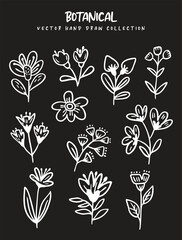 Collection of Hand-Drawn Line Art Flowers