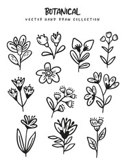 Collection of Hand-Drawn Line Art Flowers