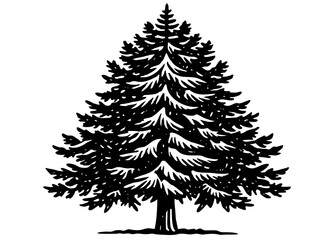 Classic evergreen pine tree vector silhouette illustration with a vintage hand drawn aesthetic