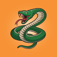 Vector illustration of a cartoon angry snake on a colored background