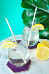 Healthy Drinks Water with Fresh Sliced Lemon